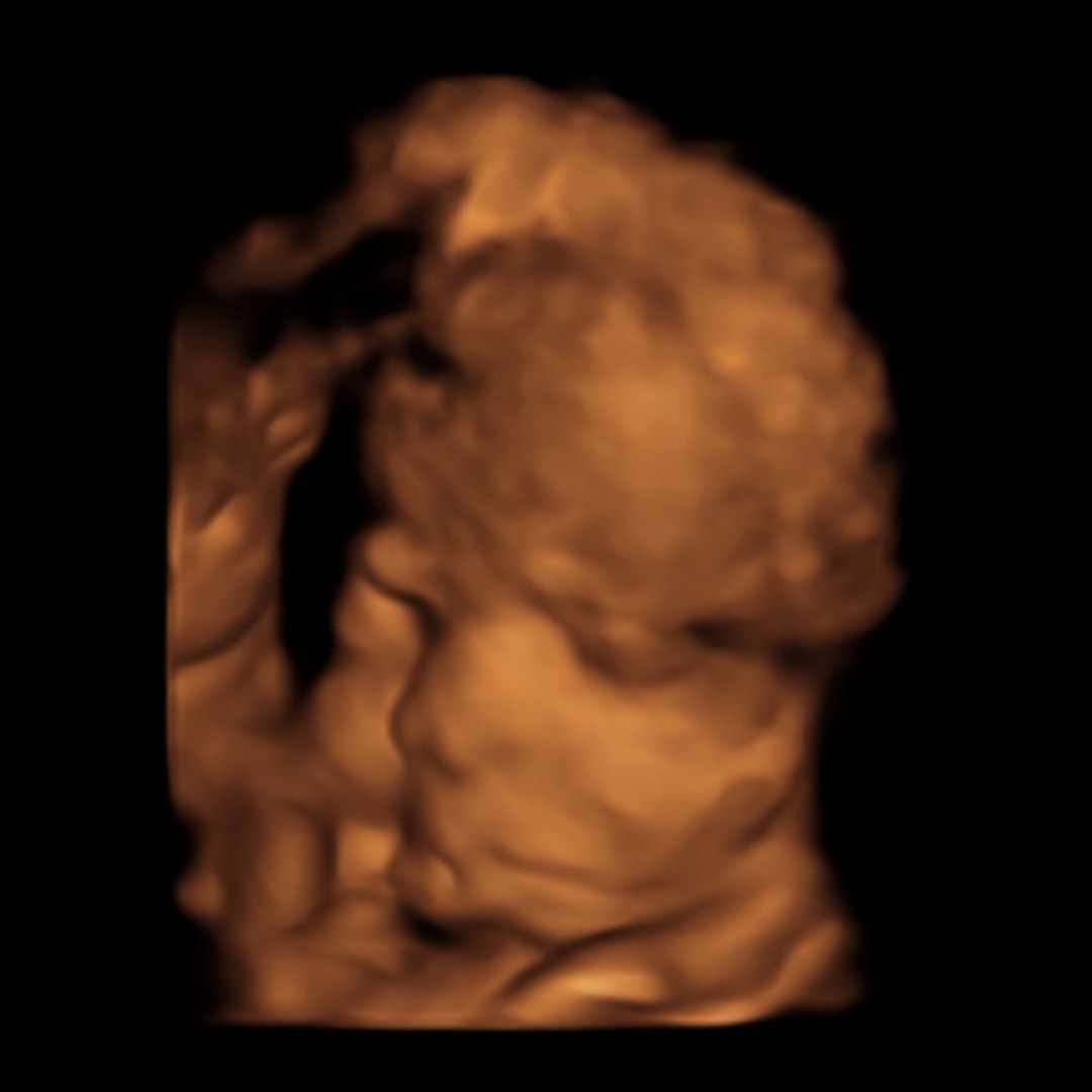 Photo shared by Kerri for their Babylist baby registry.