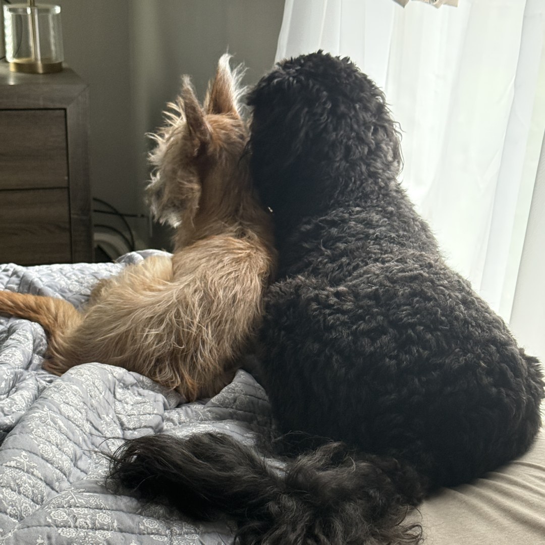 Photo shared by Tanner for their Babylist baby registry.