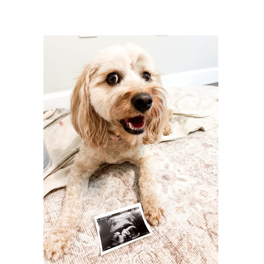 Photo shared by Madison for their Babylist baby registry.
