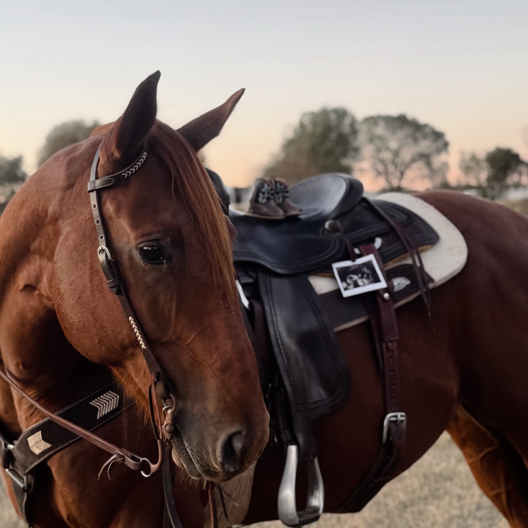 Photo shared by Hayley for their Babylist baby registry.