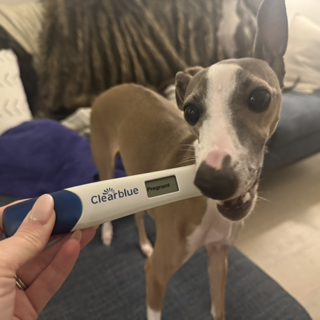 Photo shared by Amanda for their Babylist baby registry.