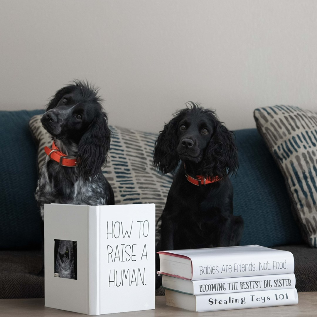 Photo shared by Allison for their Babylist baby registry.