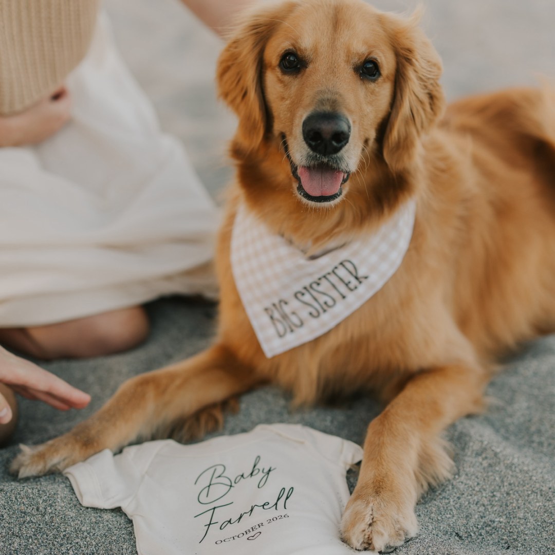 Photo shared by Ansley for their Babylist baby registry.