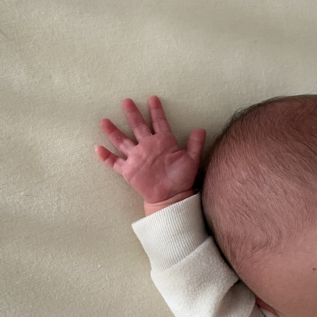 Photo shared by Emily for their Babylist baby registry.