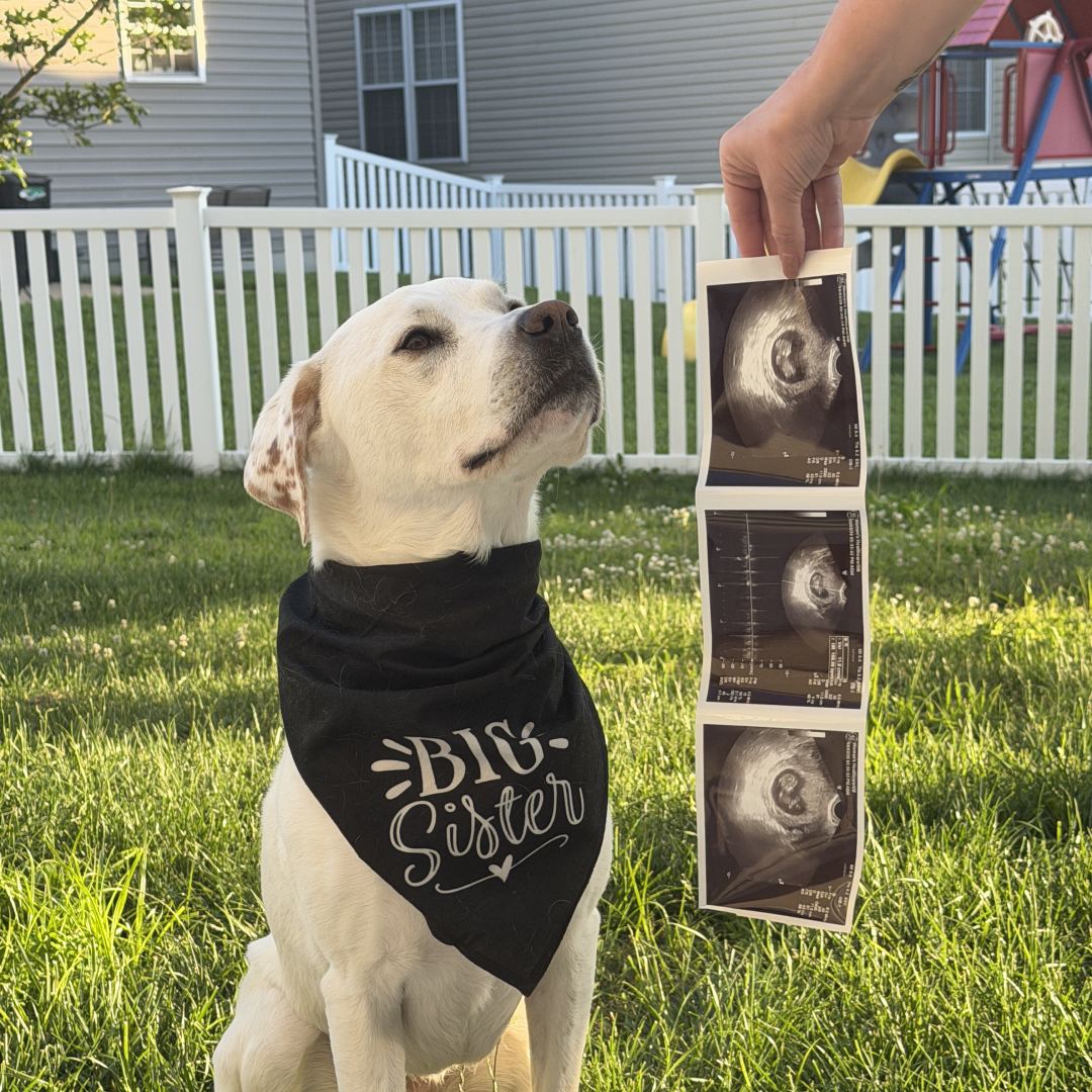 Photo shared by Hanna for their Babylist baby registry.