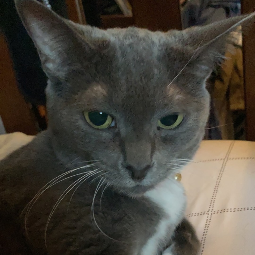 Photo shared by Sidney for their Babylist baby registry.