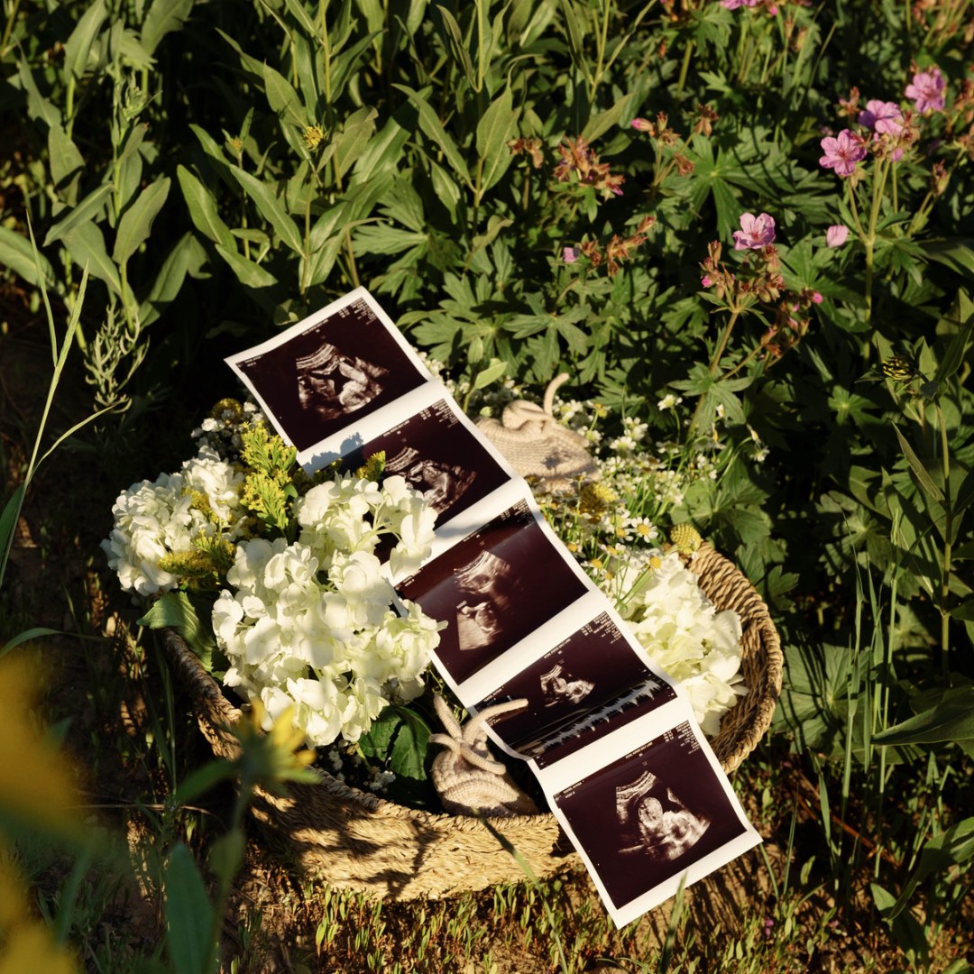 Photo shared by Alyssa for their Babylist baby registry.