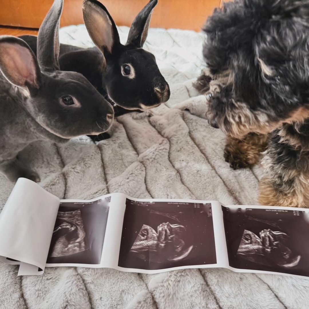 Photo shared by Marykate for their Babylist baby registry.