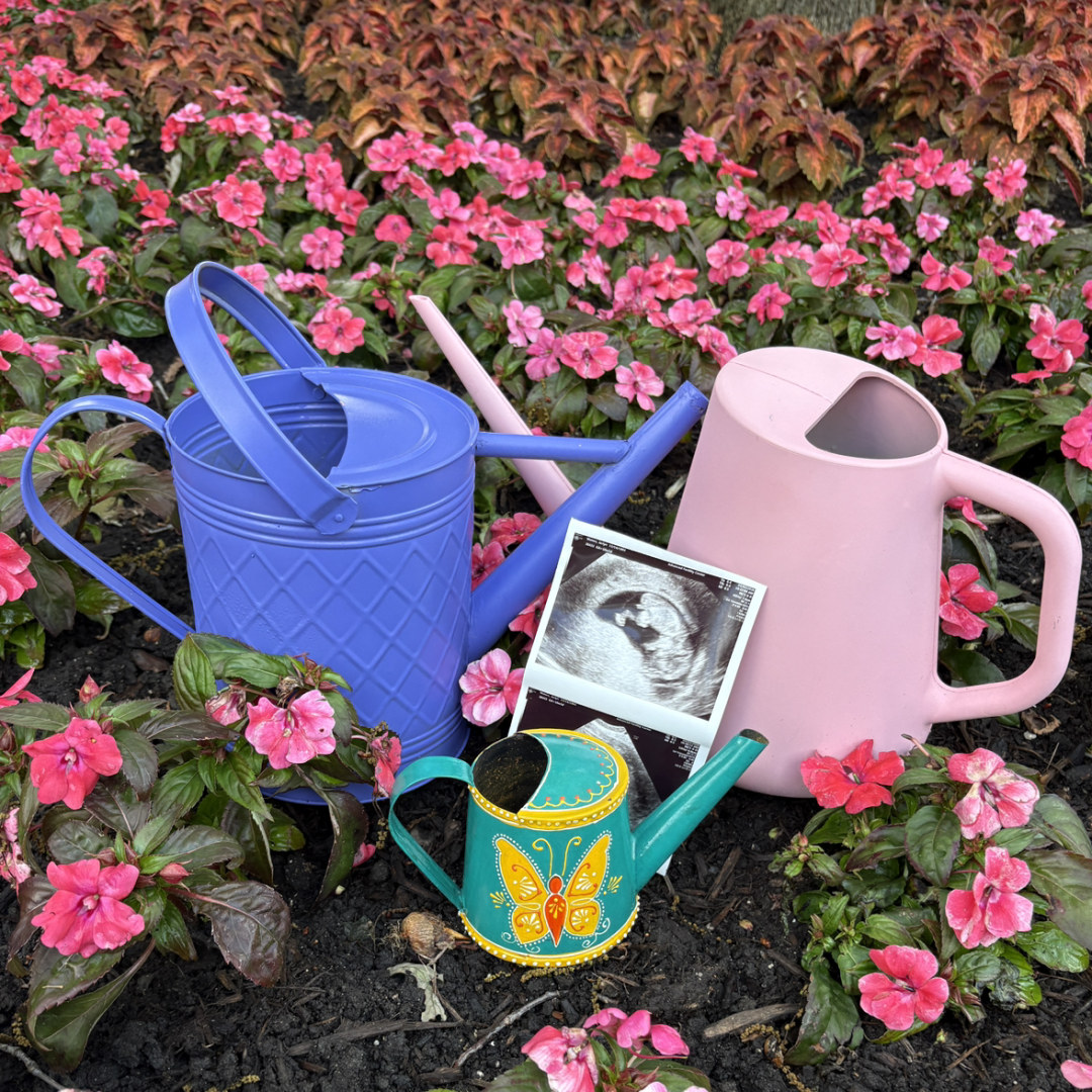 Photo shared by Jaclyn for their Babylist baby registry.