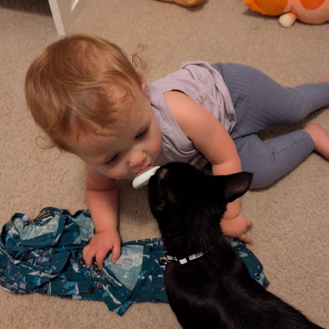 Photo shared by Mikayla for their Babylist baby registry.
