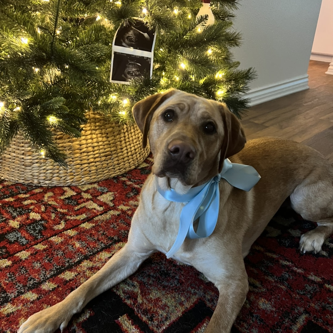 Photo shared by Kaley for their Babylist baby registry.