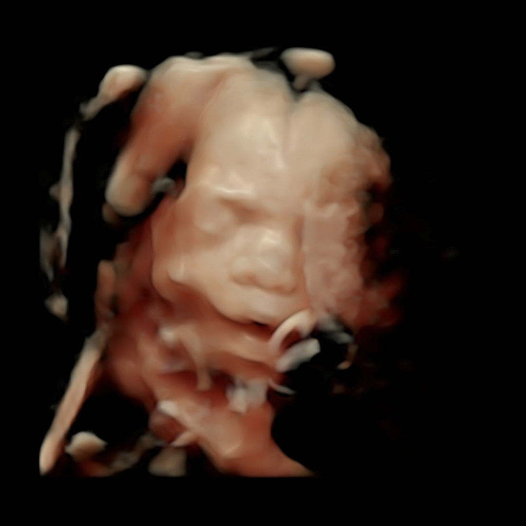 Photo shared by Jazmine for their Babylist baby registry.