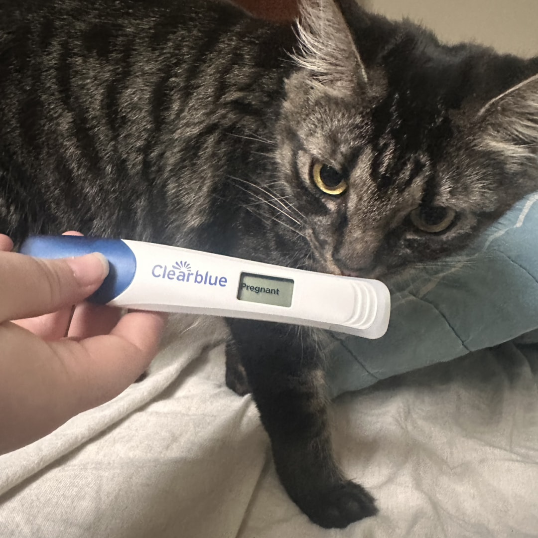 Photo shared by Abbie for their Babylist baby registry.