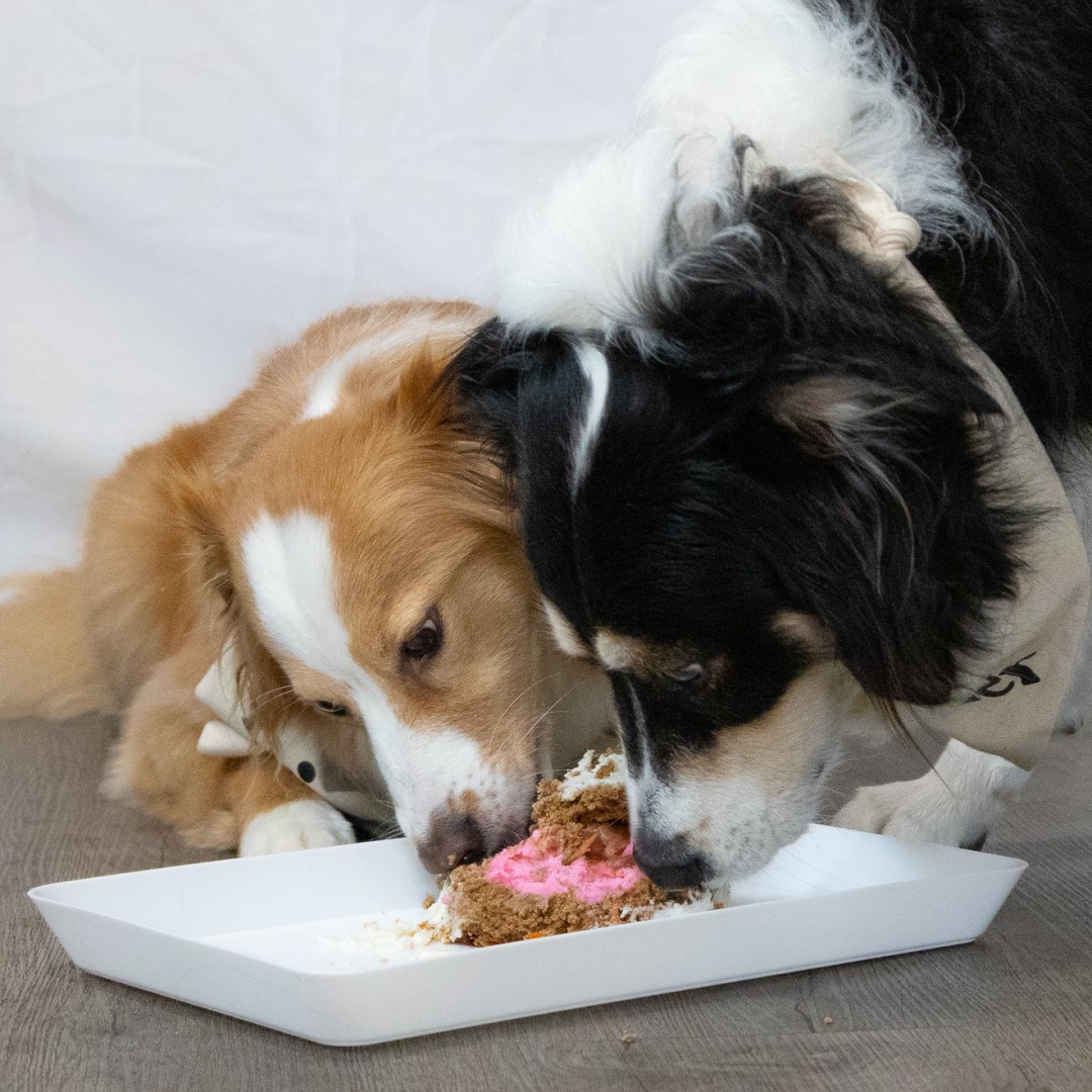 Photo shared by Riley for their Babylist baby registry.