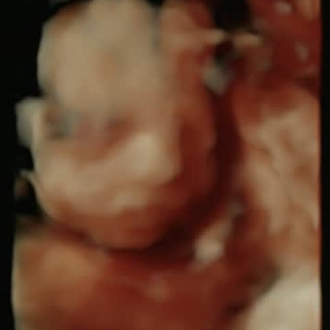 Photo shared by Nyhra for their Babylist baby registry.