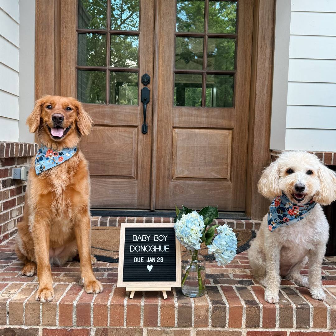 Photo shared by Elizabeth for their Babylist baby registry.