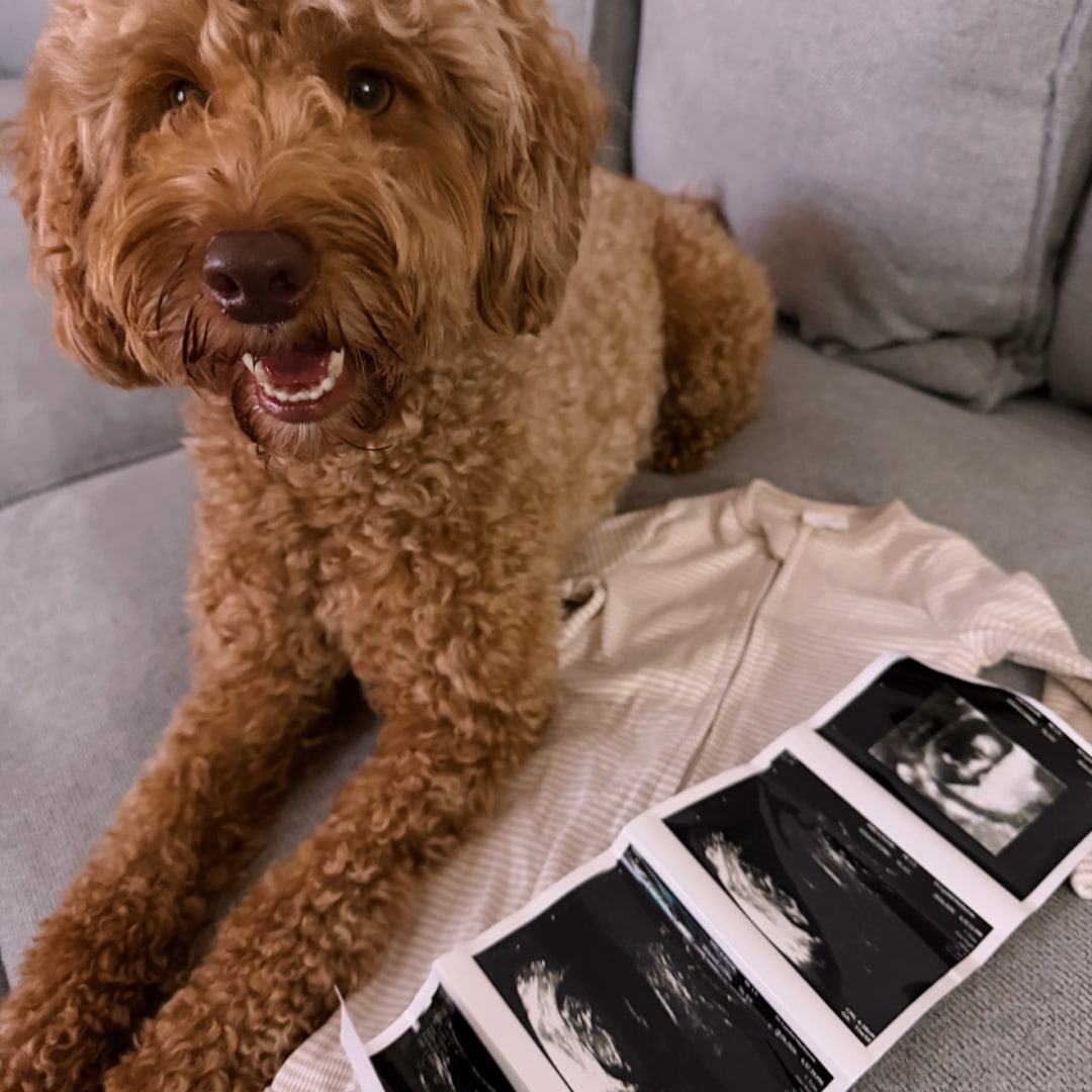 Photo shared by Teagan for their Babylist baby registry.