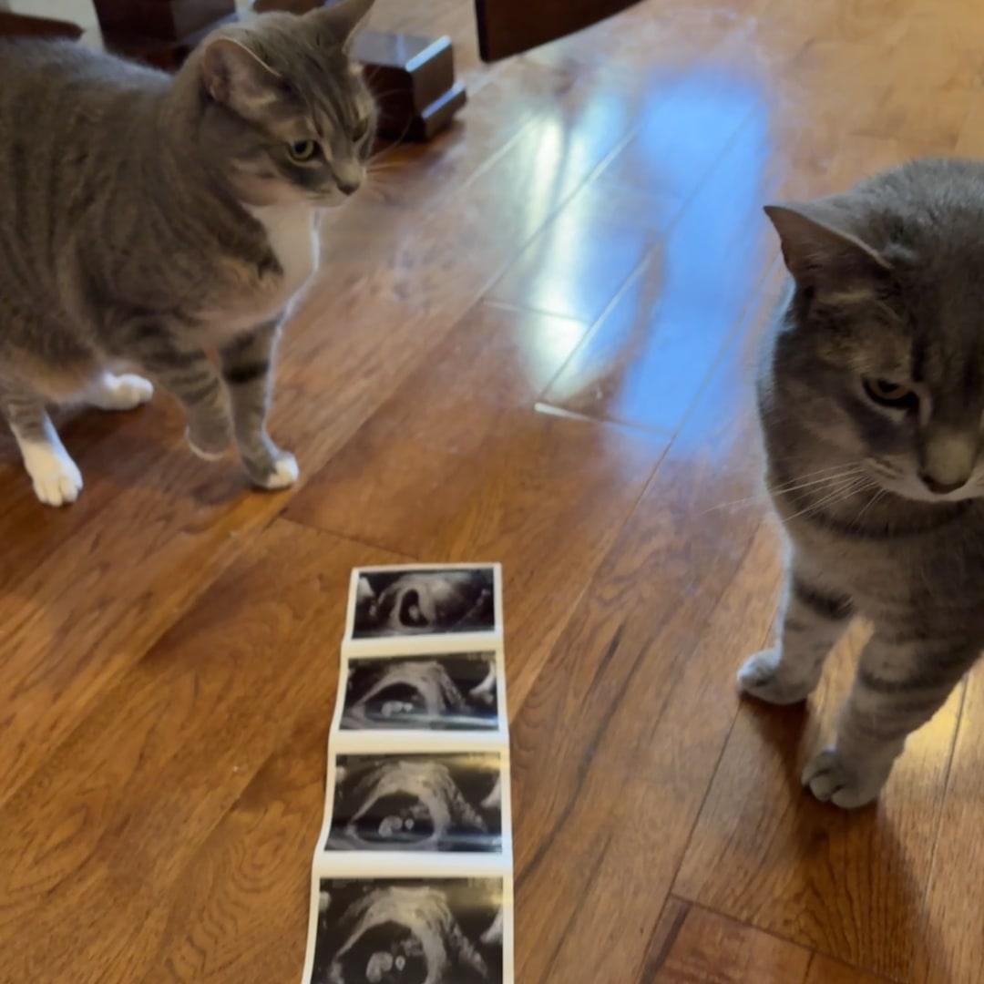 Photo shared by Kim for their Babylist baby registry.