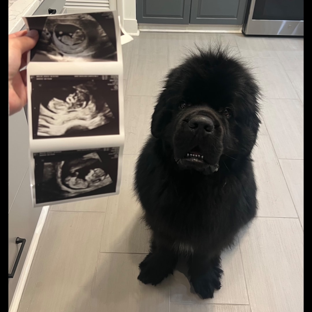 Photo shared by Jess for their Babylist baby registry.