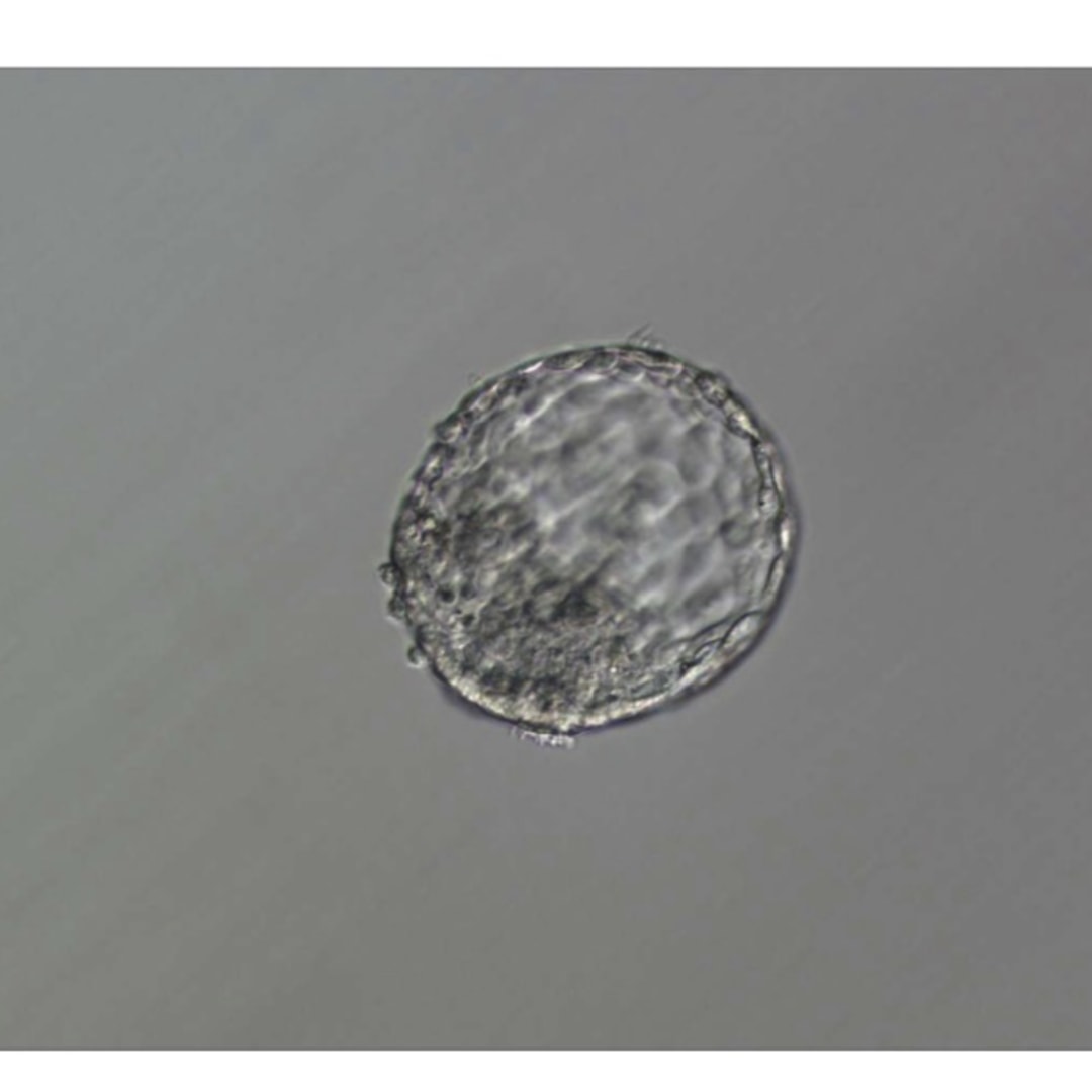 Photo shared by Mallory for their Babylist baby registry.