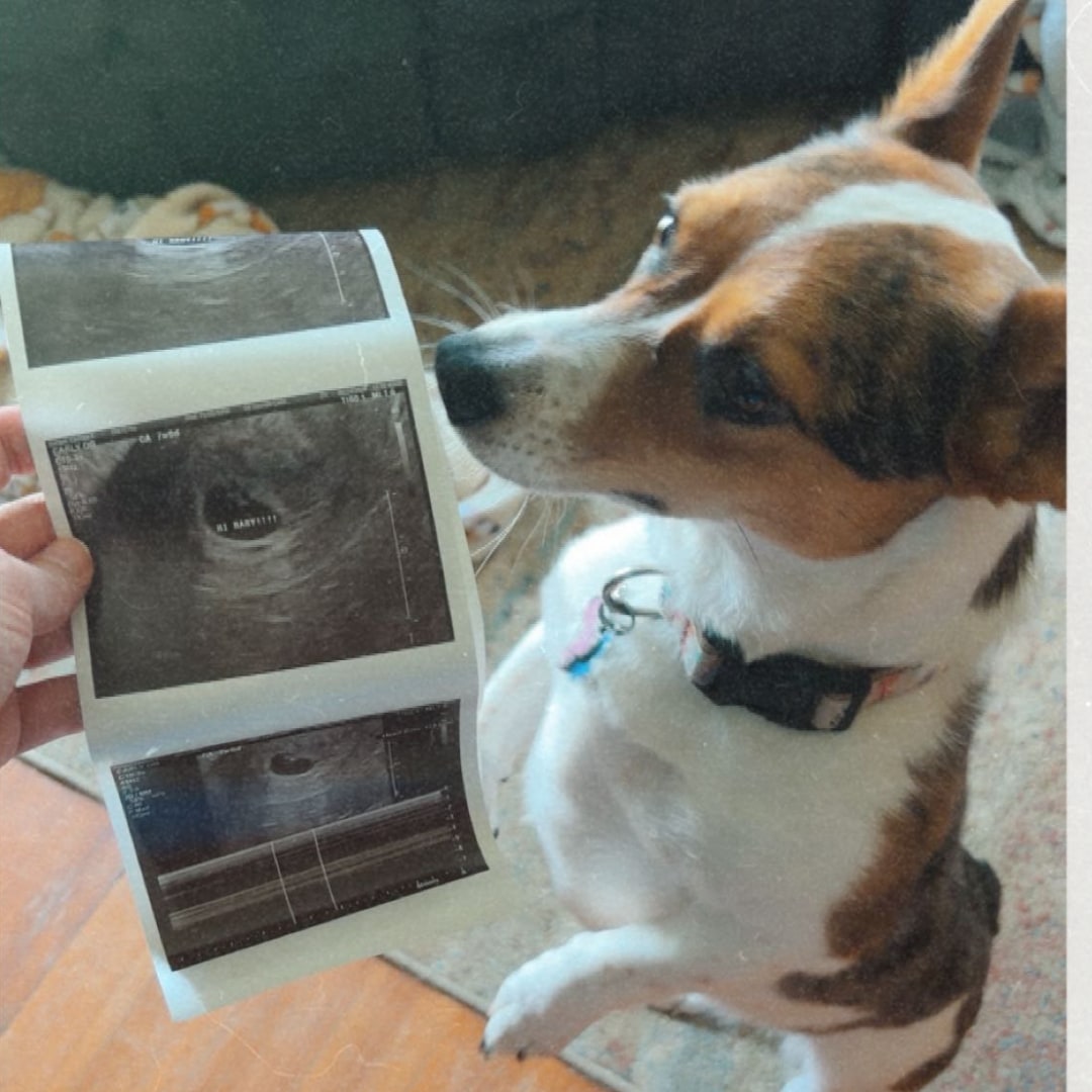 Photo shared by Christa for their Babylist baby registry.