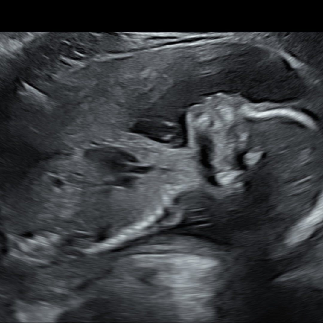 Photo shared by Jayden for their Babylist baby registry.