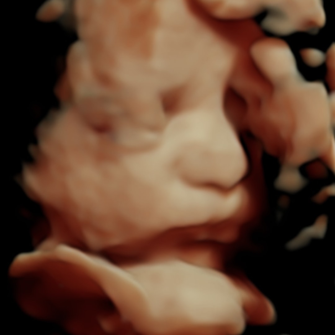 Photo shared by Elena for their Babylist baby registry.