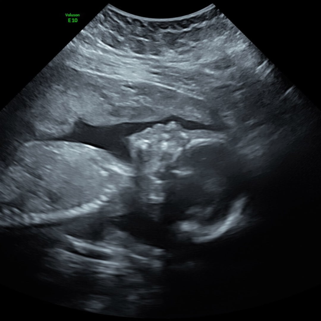 Photo shared by Genesis for their Babylist baby registry.