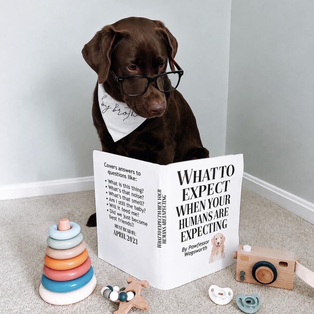 Photo shared by Alysa for their Babylist baby registry.