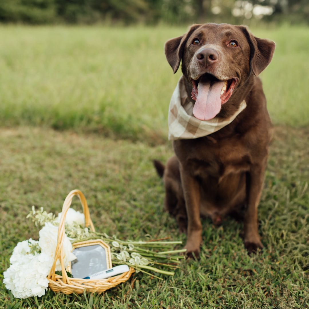 Photo shared by Emily for their Babylist baby registry.