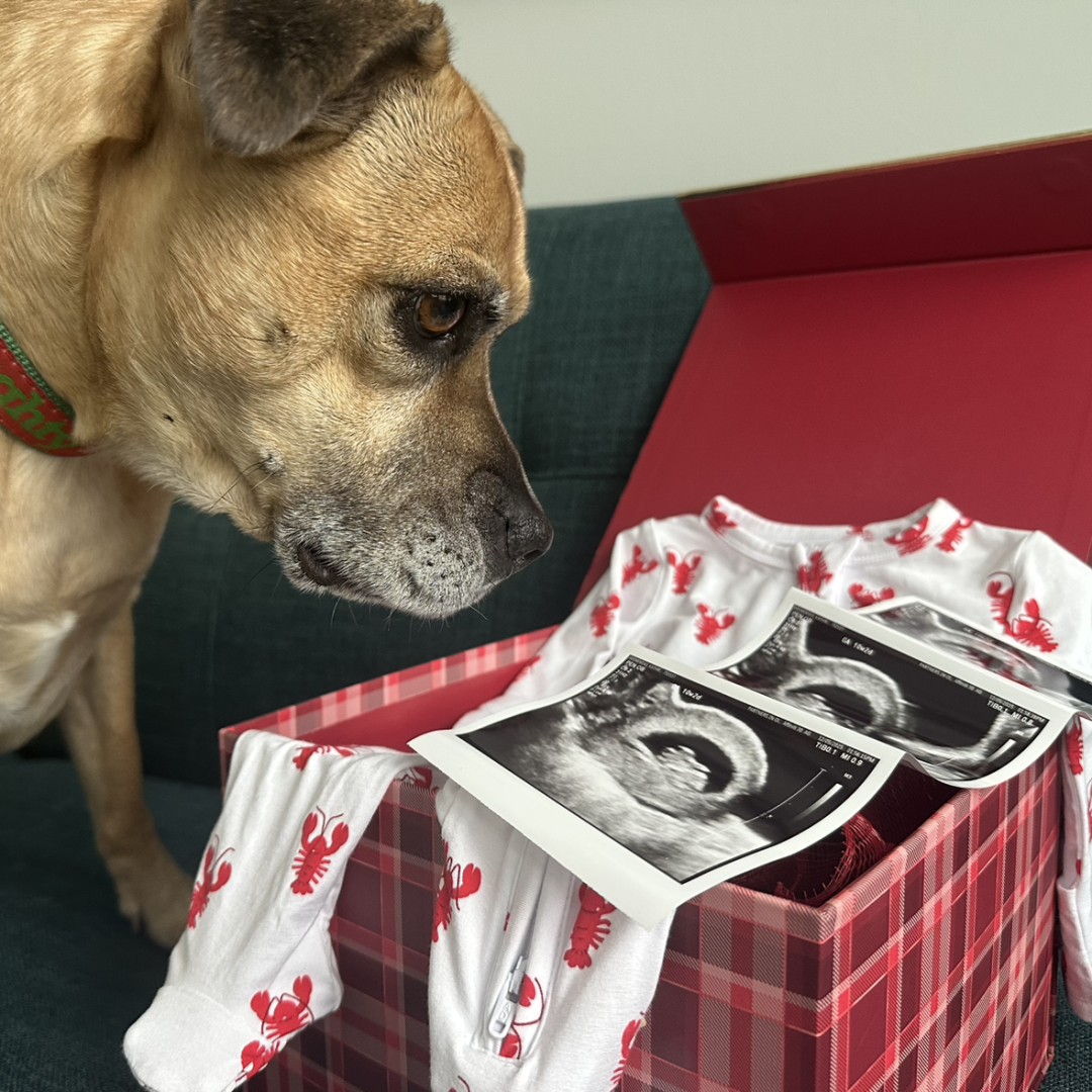 Photo shared by Katie for their Babylist baby registry.