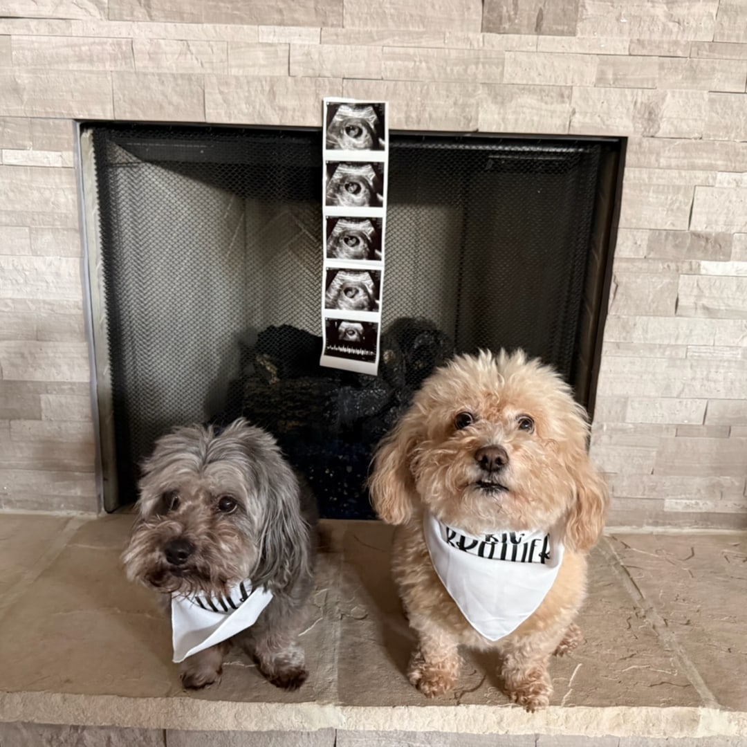 Photo shared by Becca for their Babylist baby registry.