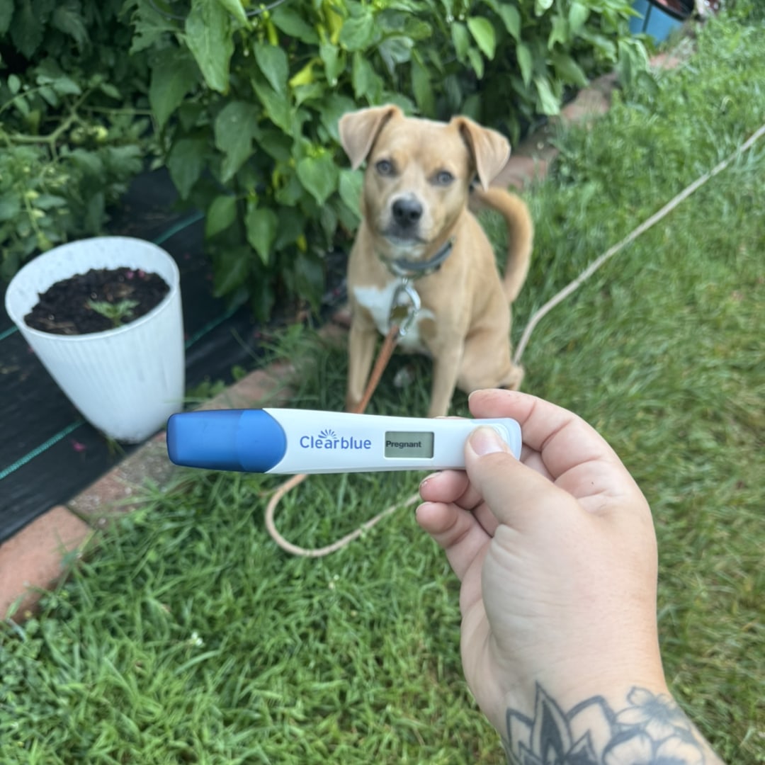 Photo shared by Amanda for their Babylist baby registry.