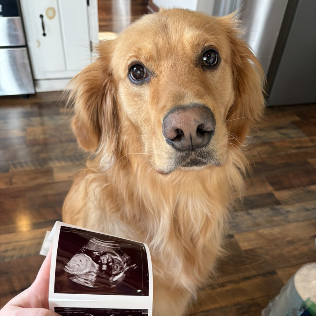 Photo shared by Elaysia for their Babylist baby registry.