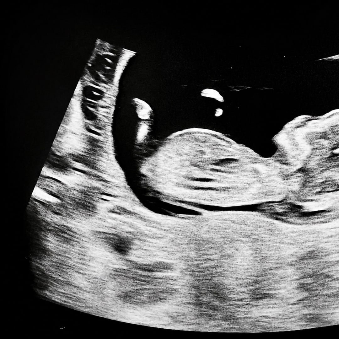 Photo shared by Francesco for their Babylist baby registry.