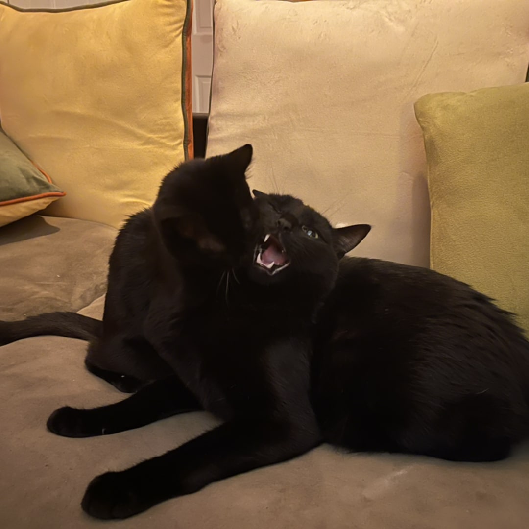 Photo shared by Claudia for their Babylist baby registry.