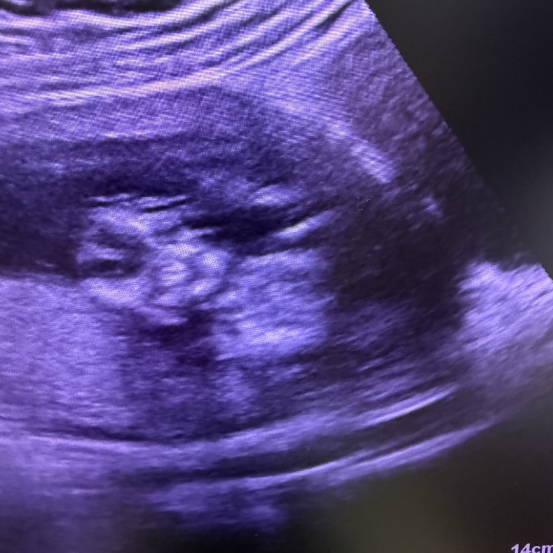 Photo shared by Natalie for their Babylist baby registry.