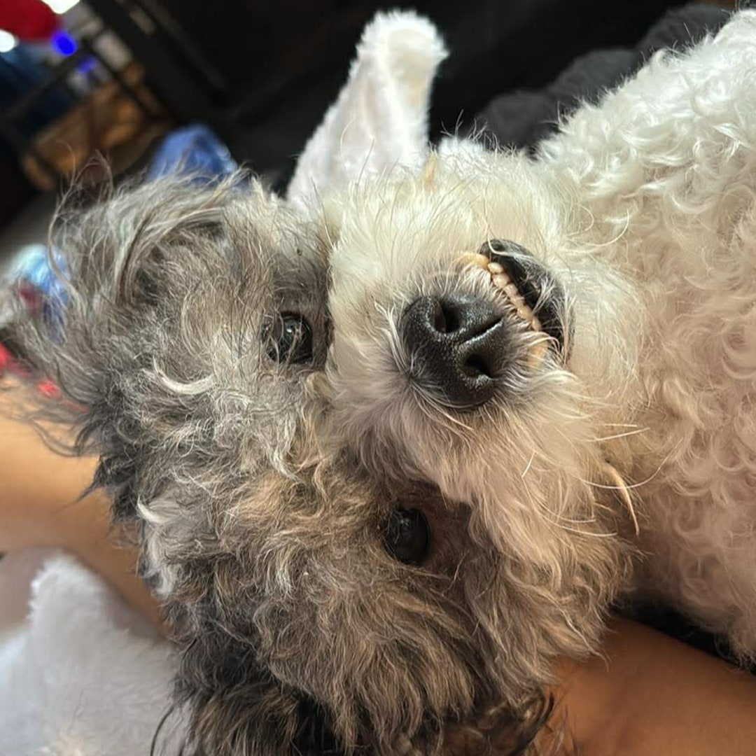 Photo shared by Jissel for their Babylist baby registry.