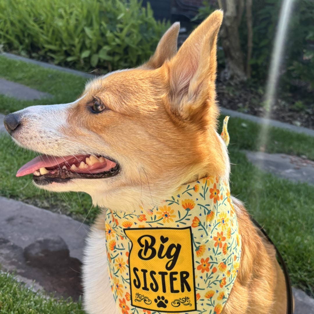 Photo shared by Michelle Lynn for their Babylist baby registry.