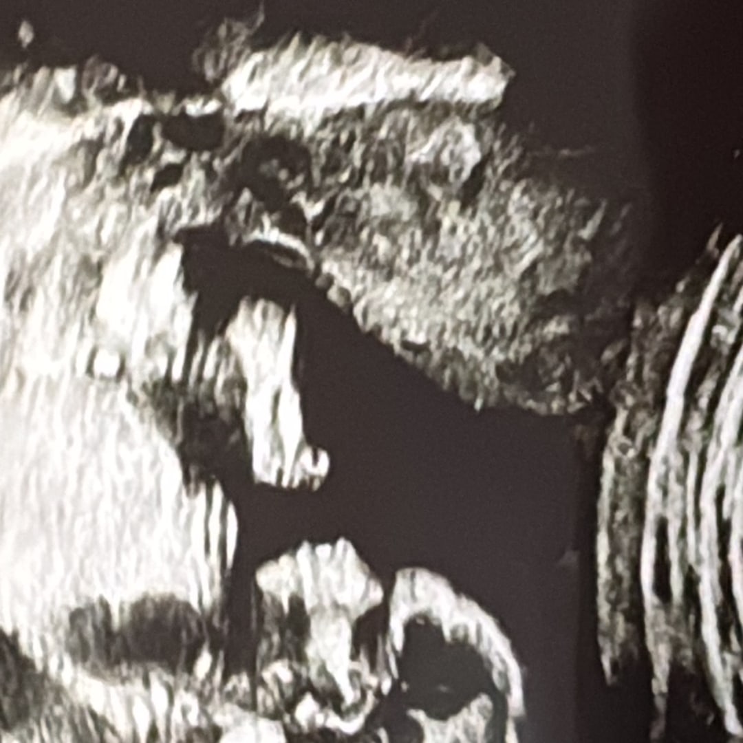 Photo shared by Joselyn for their Babylist baby registry.