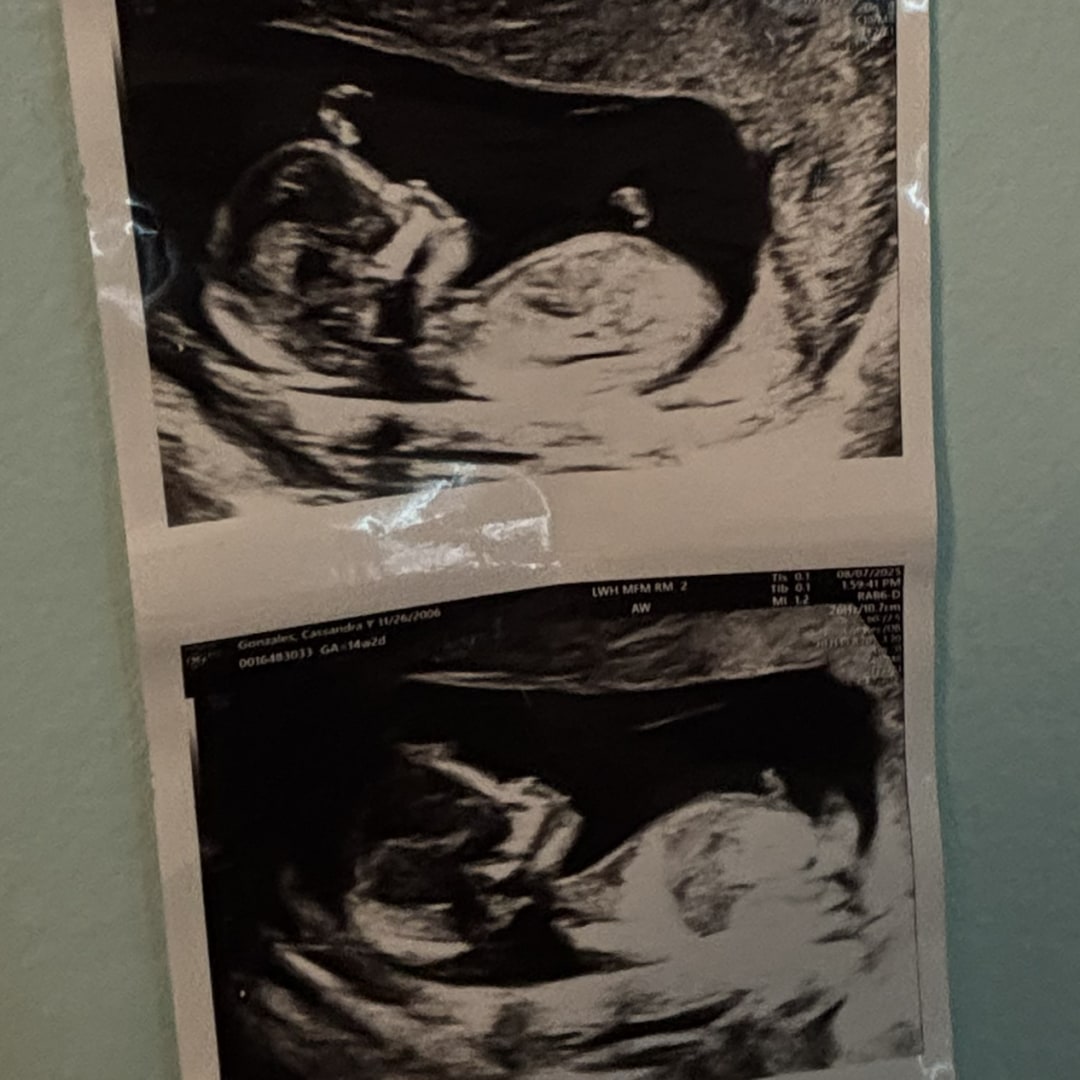 Photo shared by Cassie for their Babylist baby registry.