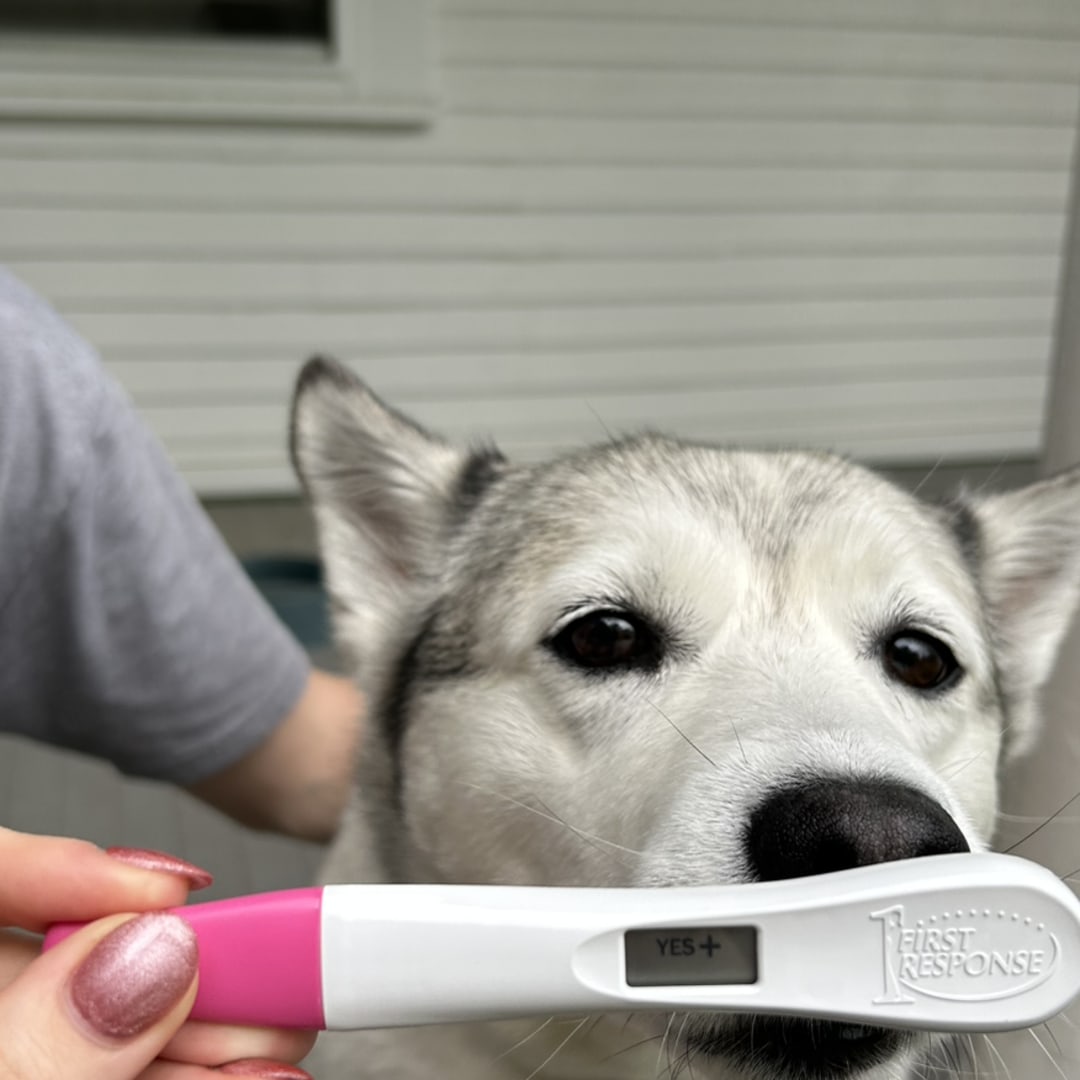 Photo shared by Madeline for their Babylist baby registry.