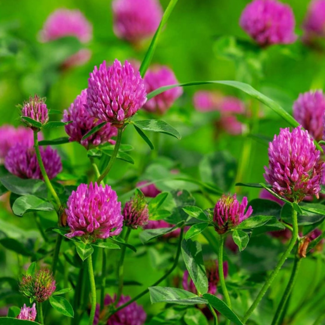 Photo shared by Tavia for their Babylist baby registry.