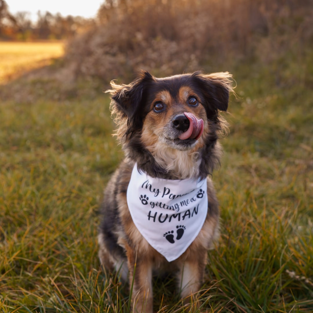 Photo shared by Kassie for their Babylist baby registry.