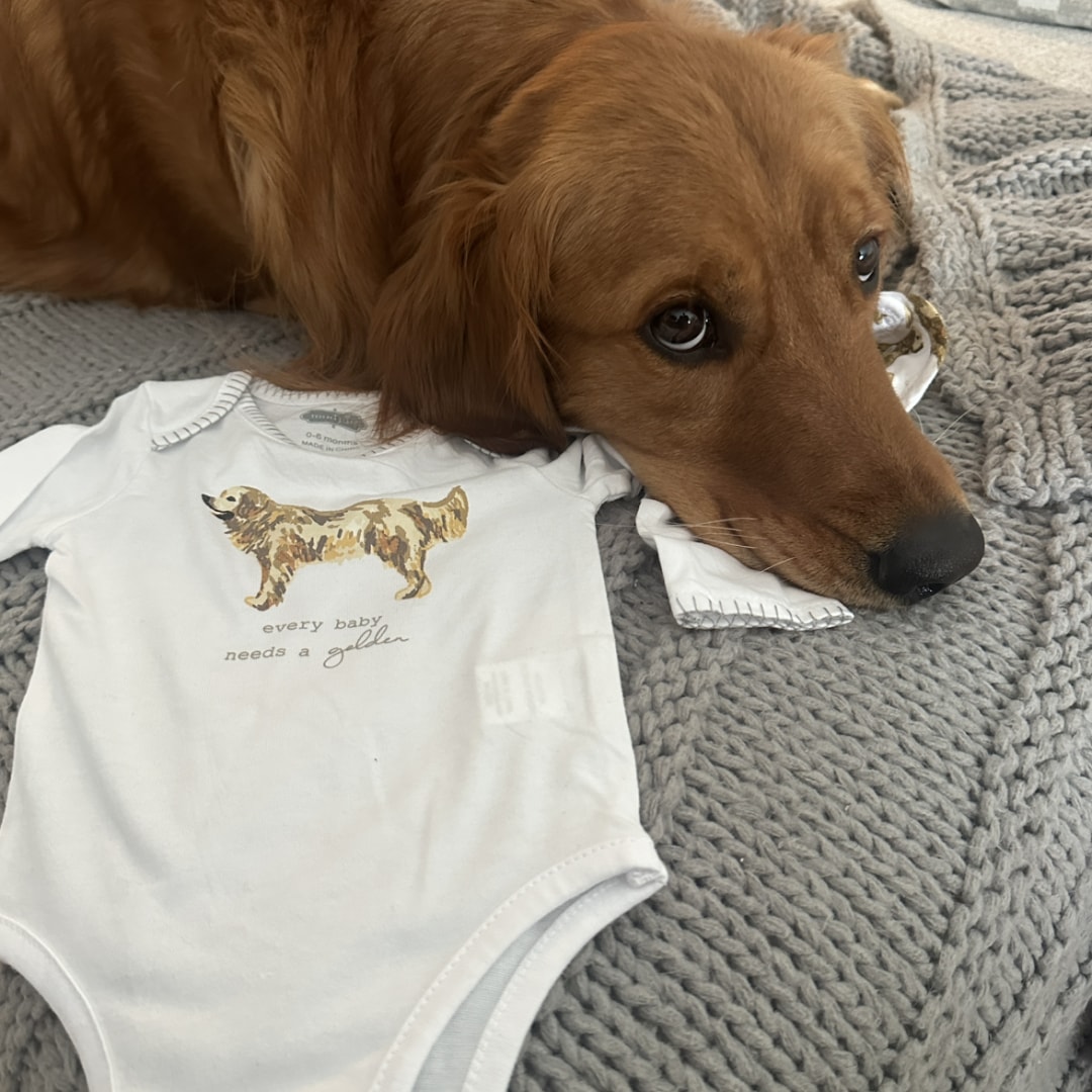 Photo shared by Gabbi for their Babylist baby registry.