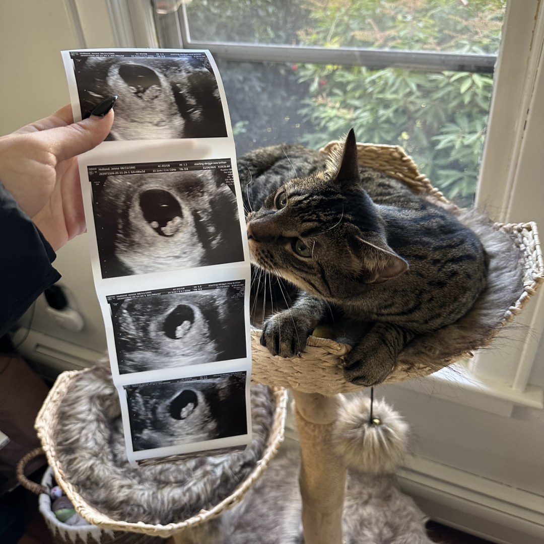 Photo shared by Jenna for their Babylist baby registry.