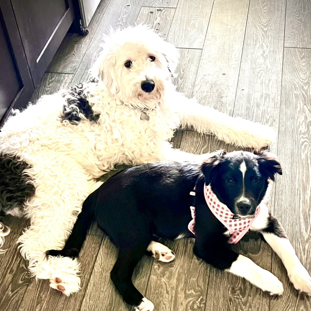Photo shared by Hannah for their Babylist baby registry.