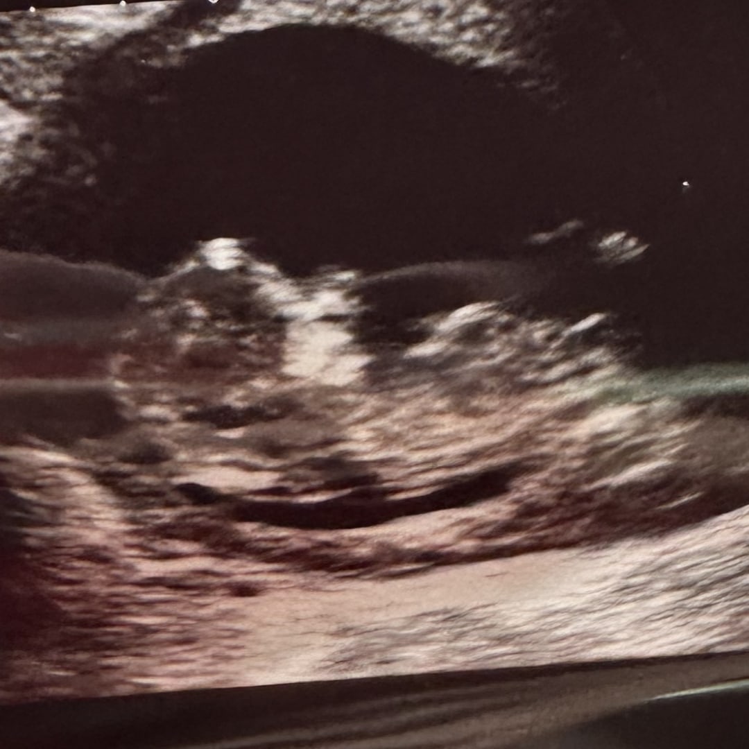 Photo shared by Monica for their Babylist baby registry.