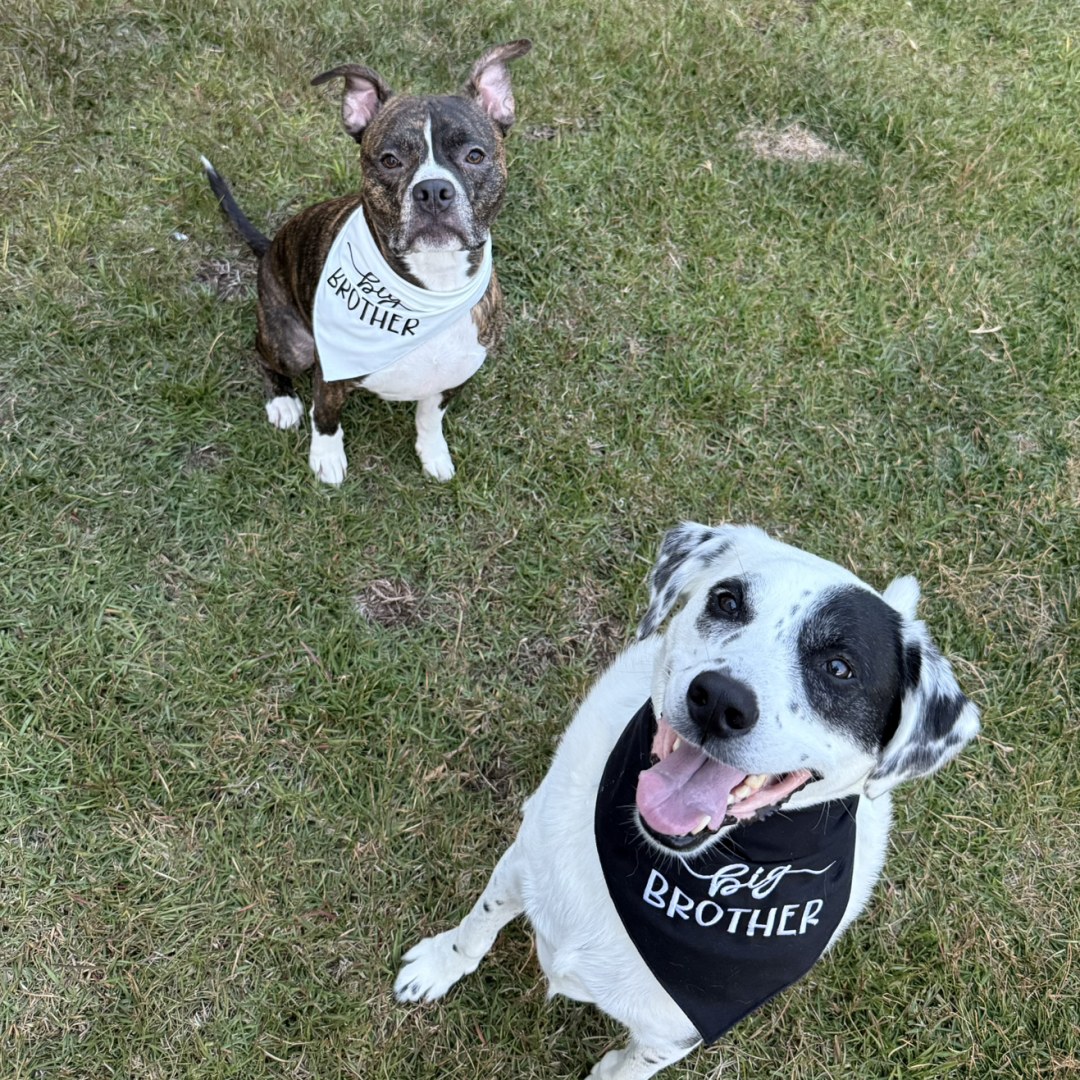 Photo shared by Emily for their Babylist baby registry.