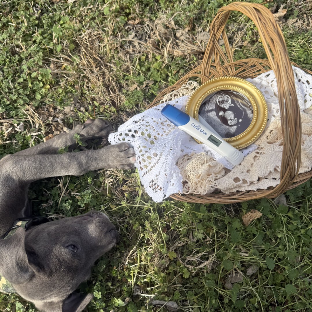 Photo shared by Paige for their Babylist baby registry.
